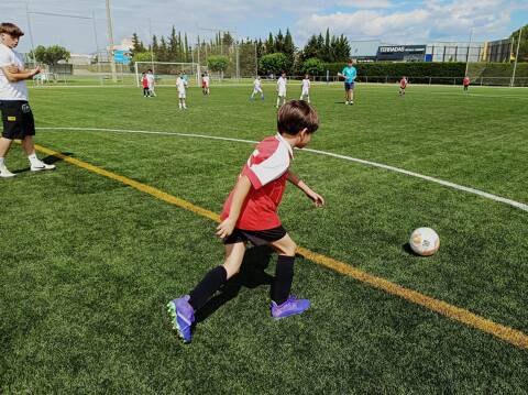 LLIGA COMARCAL FUTBOL 7 