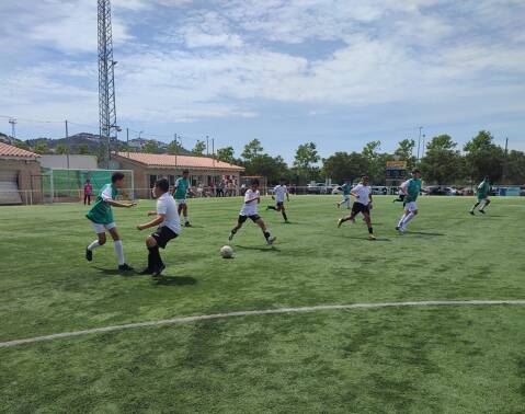 LLIGA COMARCAL FUTBOL 7 